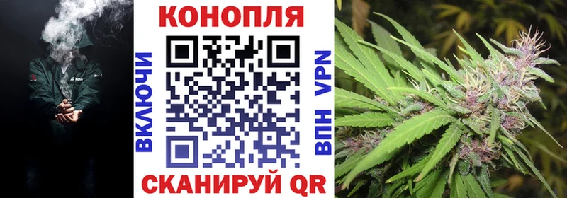 Каннабис SATIVA & INDICA  цены   Кунгур 